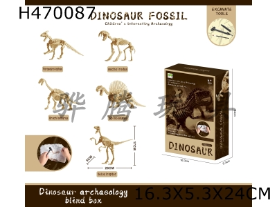 H470087 - Archaeological fossil dinosaur bones (5 mixed packs)