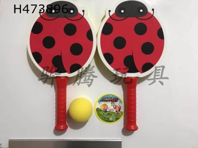 H473896 - Beetle sponge racket