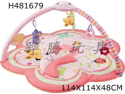 H481679 - Insect-shaped carpet