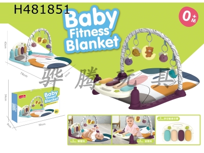 H481851 - Baby fitness pedal piano Purple / Green