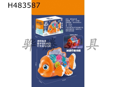 H483587 - Transparent gear fish
