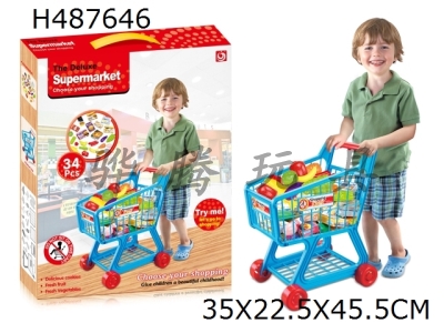 H487646 - Boy supermarket shopping cart