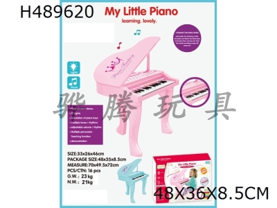 H489620 - Grand piano 25 keys
