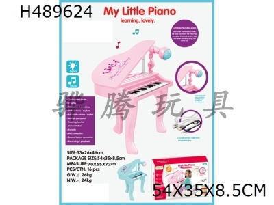 H489624 - Grand piano 25 key with microphone