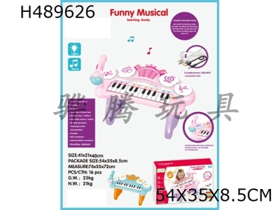 H489626 - Drum piano 24 key with microphone