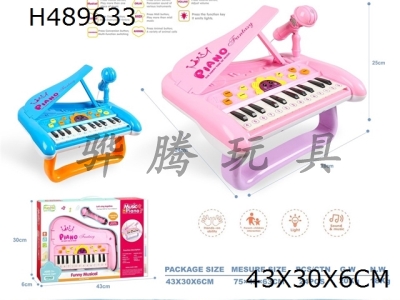 H489633 - Multifunctional cartoon electronic piano + microphone