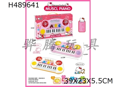 H489641 - KT cat multifunctional electronic drum organ