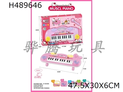 H489646 - KT cat electronic piano 25 keys + microphone