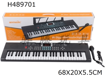 H489701 - 54 key electronic organ