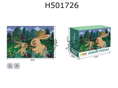 H501726 - 廭ϵ-24Ƭƴͼ