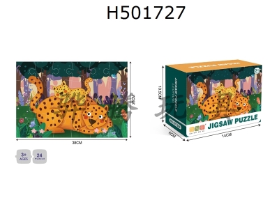 H501727 - 廭ϵ-24Ƭƴͼ