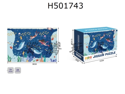 H501743 - 廭ϵ-24Ƭƴͼ