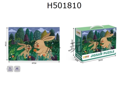 H501810 - 廭ϵ-48Ƭƴͼ