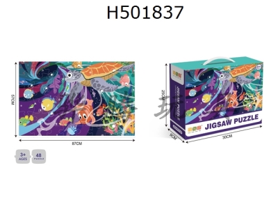 H501837 - 廭ϵ-48Ƭƴͼ