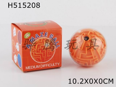 H515208 - Intelligence maze ball (medium)
