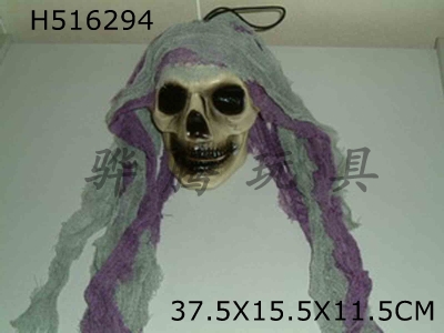 H516294 - "Flash skull"