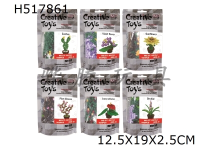 H517861 - Plant beans (6 types)