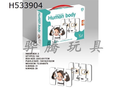 H533904 - 10 pieces of human organ matching puzzle