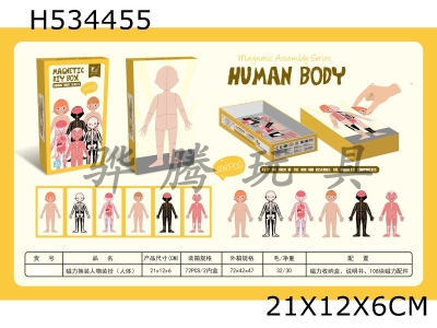 H534455 - Magnetic dressing (human body)