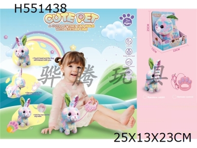 H551438 - Electric rope walking color rabbit