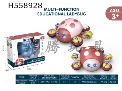 H558928 - Ladybug