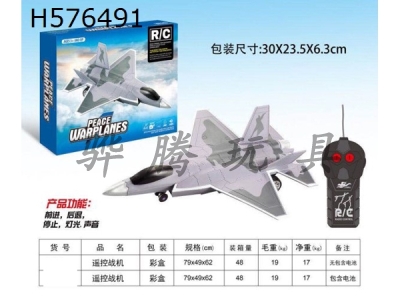 H576491 - Two-way remote control fighter