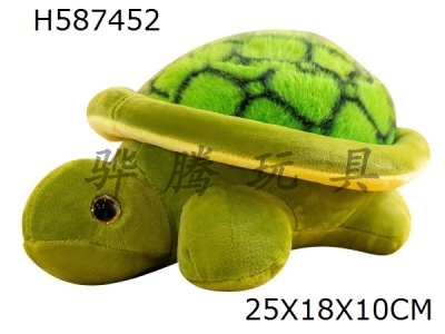 H587452 - tortoise