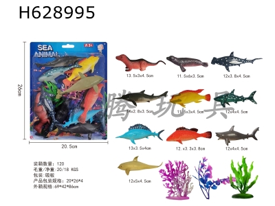 H628995 - marine&nbsp;animal