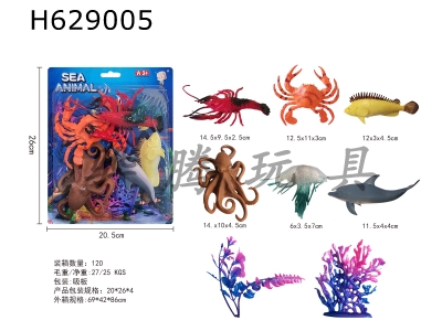 H629005 - marine&nbsp;animal