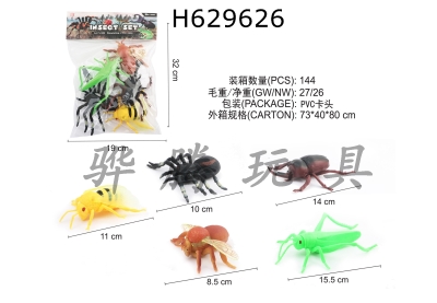 H629626 - insect