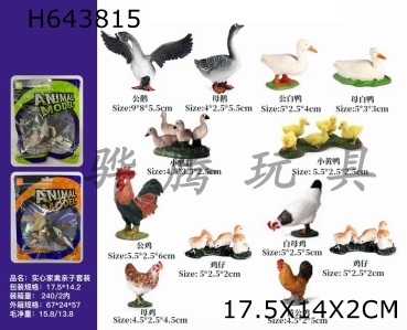 H643815 - Poultry Parent Child Set (4 mixed sets)