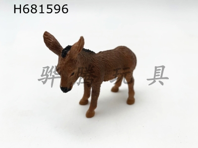 H681596 - Donkey cub