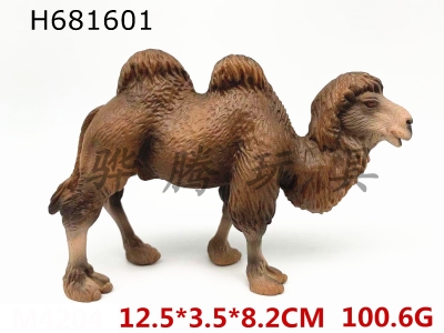 H681601 - two-humped camel