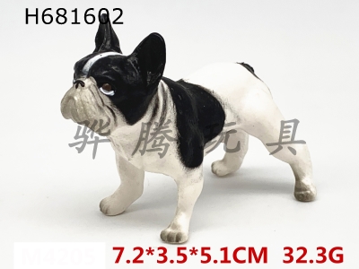 H681602 - Small Black Dog