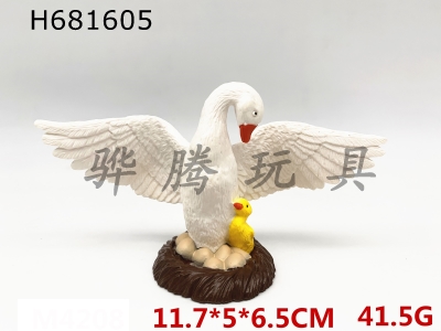 H681605 - swan