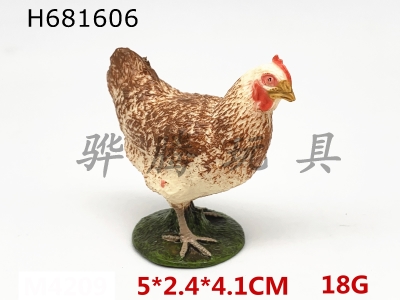 H681606 - chicken