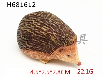 H681612 - Hedgehog