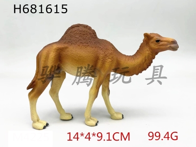 H681615 - one-humped camel