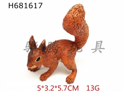 H681617 - squirrel