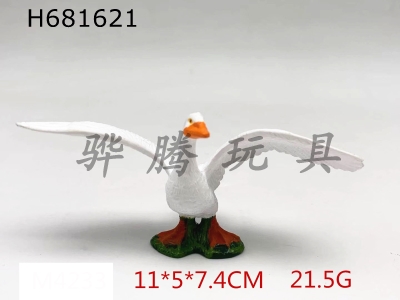 H681621 - New white swan
