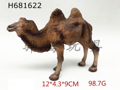 H681622 - two-humped camel