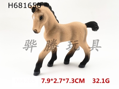 H681650 - New Andalusian pony