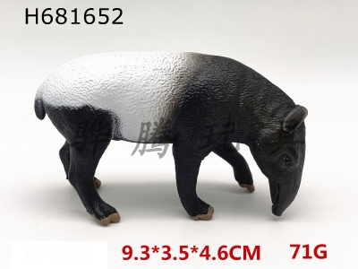 H681652 - Malayan Tapir