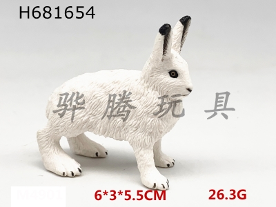 H681654 - polar hare