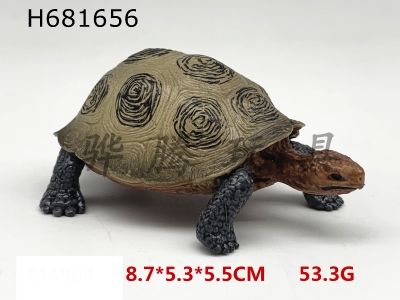 H681656 - tortoise