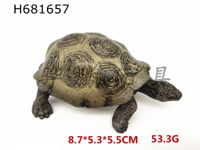 H681657 - Dark tortoise