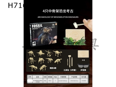 H716610 - Archaeology of 4 medium skeleton dinosaurs (removable)