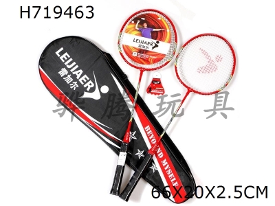 H719463 - Iron badminton racket