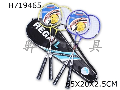 H719465 - Iron badminton racket