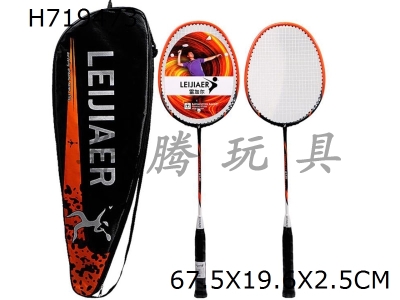 H719473 - Badminton rackets for competitions